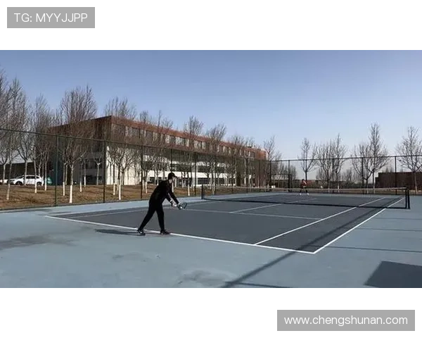 北京网球队球员个人能力深度对比分析与发展潜力探讨 北京网球队球员个人能力深度对比分析与发展潜力探讨